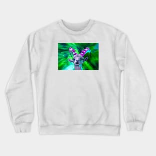 Capricorn d / Swiss Artwork Photography Crewneck Sweatshirt